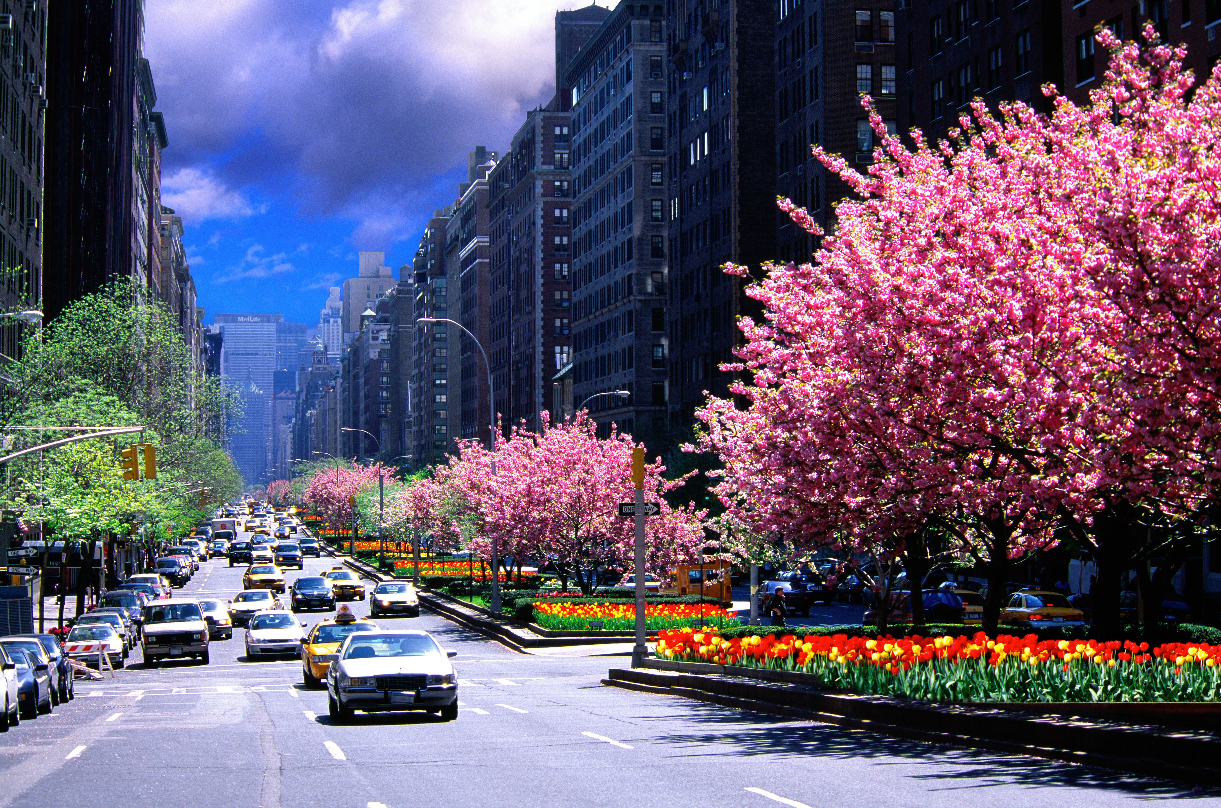 Photos That Prove Park Avenue Is the Best Place To Take A Spring Stroll
