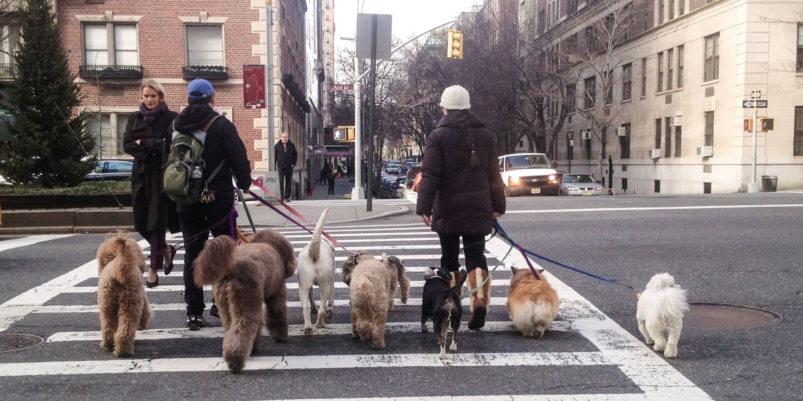 wag walking app wag app wag walking app wag walking app wag app wag walking app
