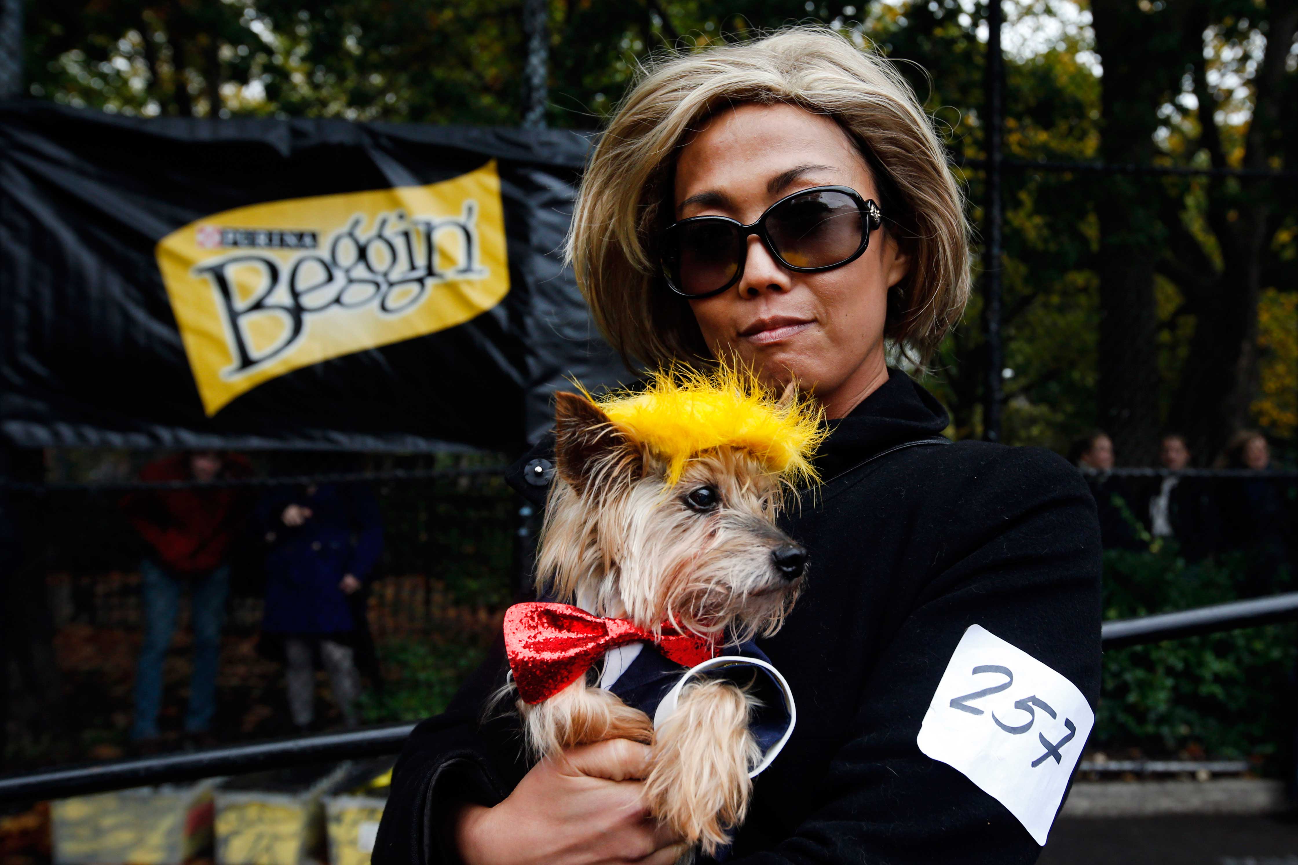 The Cutest Costumes from NYC's Annual Halloween Dog Parade