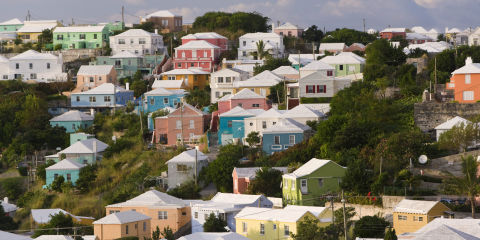 Hamilton bermuda escorts