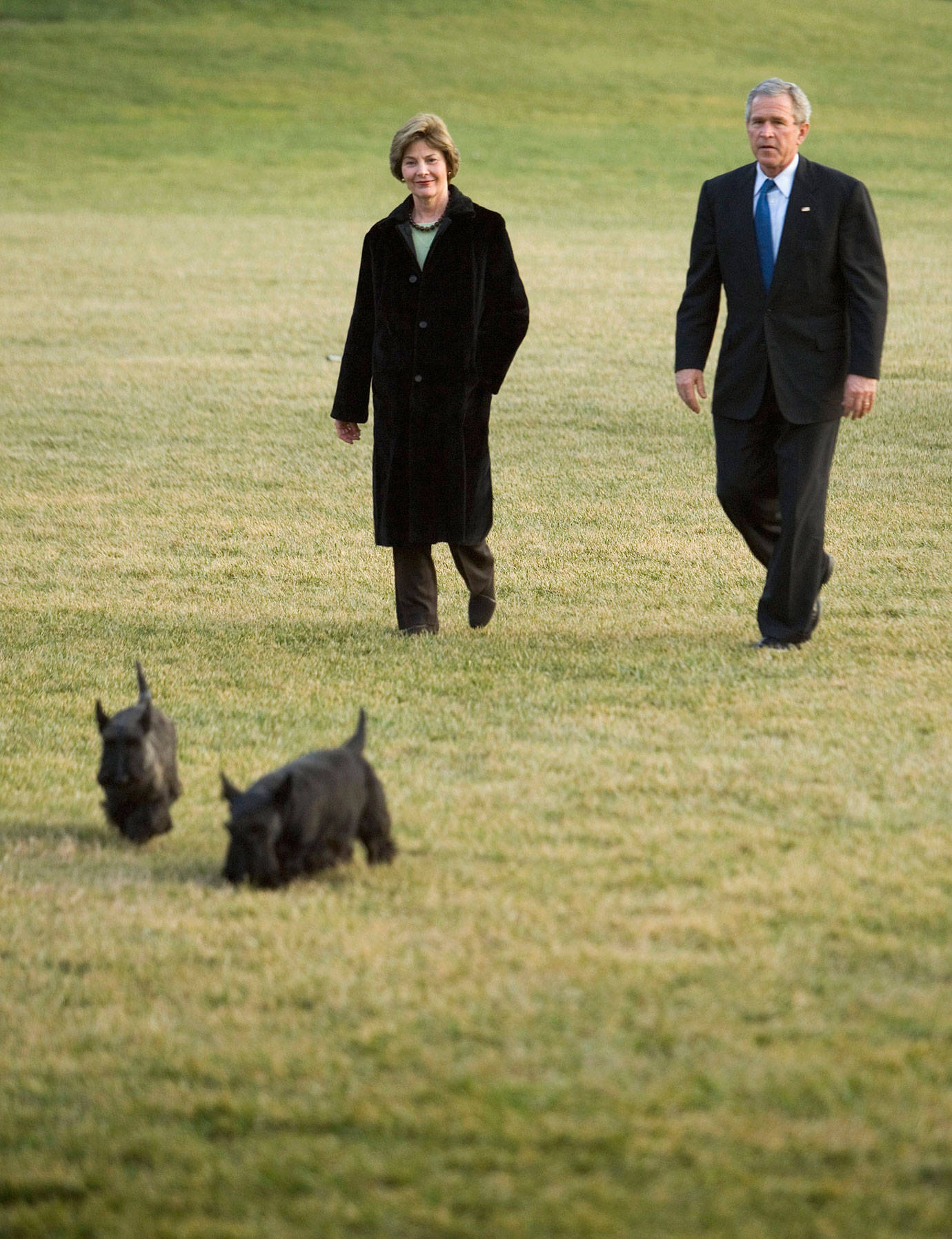 White House Pets Pets Of The Presidents