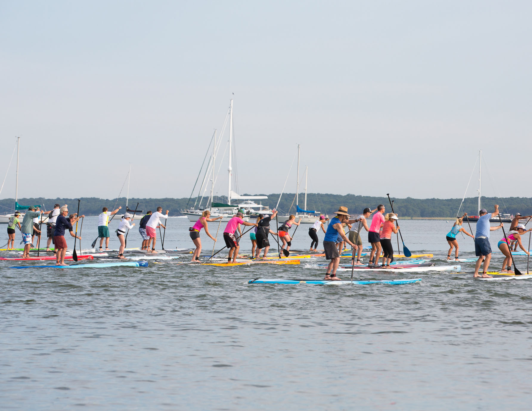 Paddle & Party for Pink Hamptons Paddle Boarding